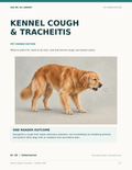 Kennel Cough & Tracheitis guide cover with an illustration of a coughing dog — Pet Owners